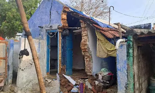 சேலம், நாமக்கல்லில் பரவலாக மழை: பலத்த சூறை காற்றில் அரசு பஸ் மீது வேப்பம் மரம் முறிந்து விழுந்தது