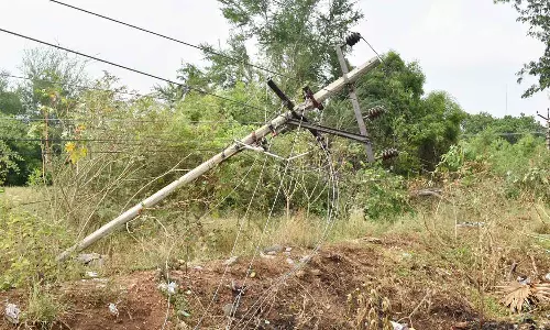 ஈரோடு மாவட்டத்தில் சூறைக்காற்றுடன் பலத்த மழை பெய்தது