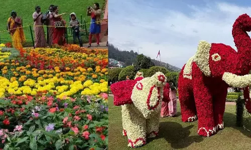 இ-பாஸ்: சுற்றுலாபயணிகள் வருகை குறைவால் மலர் கண்காட்சி நுழைவுக்கட்டணம் குறைப்பு