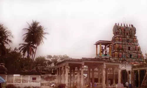 பாவங்களை தீர்க்கும் தல விருட்சம் பலாச மரம்-கம்சராஜன் கதை வரலாறு