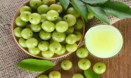 நோய் எதிர்ப்பு சக்தியை அதிகரிக்க உதவும் நெல்லிக்காய் ஜூஸ்