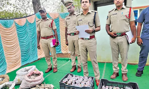 ஒய்.எஸ்.ஆர். காங்கிரஸ் நிர்வாகிகள் வீட்டில் வெடிகுண்டுகள் பறிமுதல்