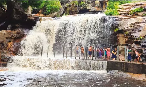 கனமழை: உடுமலை பஞ்சலிங்க அருவியில் ஆர்ப்பரித்து கொட்டும் தண்ணீர்