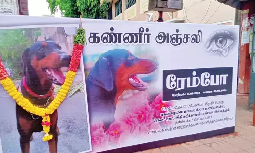 இறந்த நாய்க்கு இறுதி சடங்கு நடத்தி வீட்டிலேயே அடக்கம் செய்த குடும்பத்தினர்