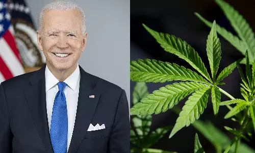 அமெரிக்காவில் இனிமேல் கஞ்சா பயன்படுத்தினால் குற்றமல்ல... ஜோ பைடன் அரசு முன்மொழிவு