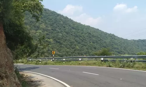 தொடர்ந்து மழை பெய்து வருவதால் பசுமையாக காணப்படும் தாளவாடி- பர்கூர் வனப்பகுதி