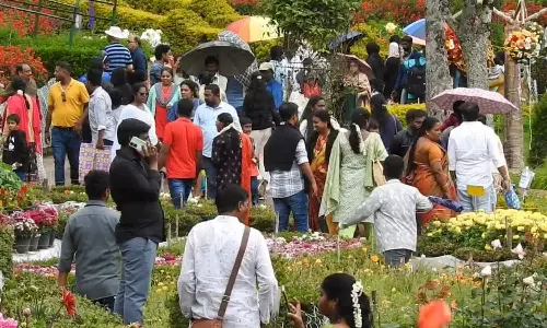 கொடைக்கானலில் கொட்டும் மழையில் மலர்களை கண்டு ரசித்த சுற்றுலா பயணிகள்