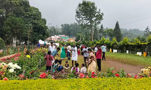 ஏற்காடு கோடைவிழா ஏற்பாடுகள் தீவிரம்: சுற்றுலாப் பயணிகள் கண்டு ரசித்தனர்