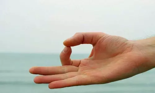 ஞானப் பொருளின் அடையாளம் சின்முத்திரை