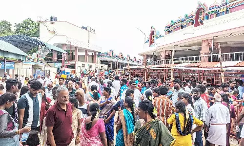 வைகாசி மாத வளர்பிறை முகூர்த்தம்- பழனியில் அலைமோதிய பக்தர்கள் கூட்டம்