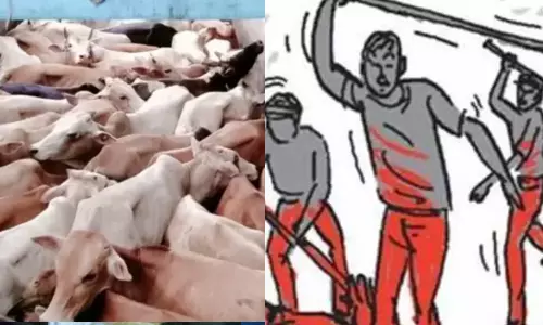 பசுக் கடத்தல் சந்தேகம்.. முதியவரை நிர்வாணப்படுத்தி டூ வீலரில் கட்டி இழுத்துச்சென்ற கும்பல்