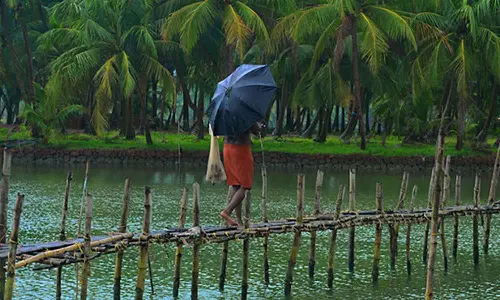 கனமழை நீடிப்பு: கேரளாவில் 14 மாவட்டங்களுக்கு நாளை மறுநாள் வரை எச்சரிக்கை