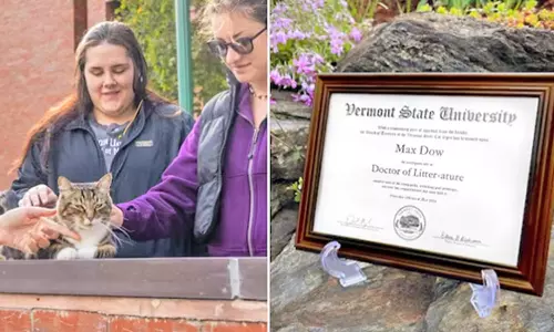 பூனைக்கு கவுரவ டாக்டர் பட்டம்