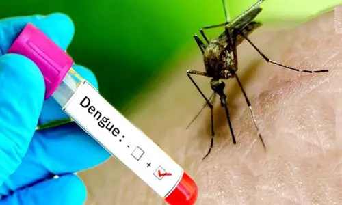 டெங்கு காய்ச்சல் பற்றிய கட்டுக்கதைகள்