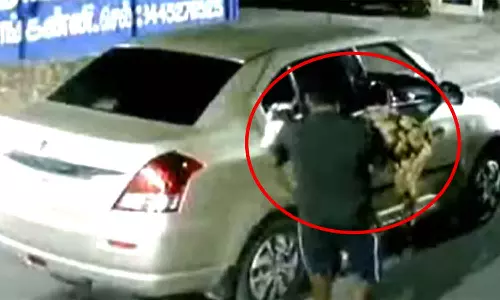 நாகை அருகே நள்ளிரவில் காரில் வந்து ஆடு திருடிய கும்பல்