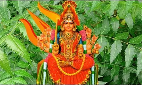 பராசக்தியின் மறு உருவம் வேப்பிலை-வேம்பின் மகிமை