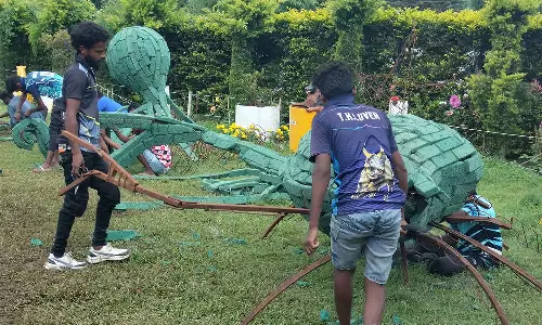 47-வது கோடை விழா மலர் கண்காட்சி நாளை தொடக்கம்- சுற்றுலா பயணிகளை வரவேற்க தயாரான ஏற்காடு