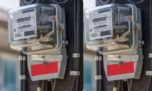 ஒரே வீட்டில் 2 மின் இணைப்புகள் கண்டறிய வீடு வீடாக ஆய்வு செய்யும் பணி தொடங்கியது