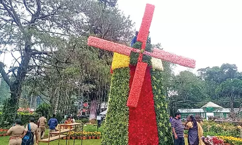 கோடைவிழா மலர் கண்காட்சி தொடங்கியது- மலர்களால் உருவான காற்றாலை, கடல் வாழ் உயிரினங்களை கண்டு ரசித்த சுற்றுலா பயணிகள்