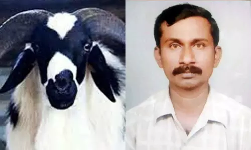 கோவில் திருவிழாவில் ஆட்டு ரத்தத்தை குடித்த பூசாரி நிகழ்ந்த பரிதாபம்- போலீசார் விசாரணை