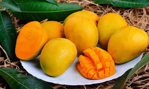 சர்க்கரை நோயாளிகள் மாம்பழத்தை இப்படி சாப்பிட்டால் எந்த பாதிப்பும் இல்லை