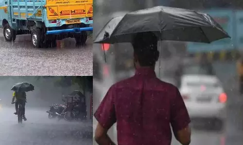 நாலுமுக்கு எஸ்டேட்டில் 10 சென்டிமீட்டர் கொட்டித்தீர்த்த மழை