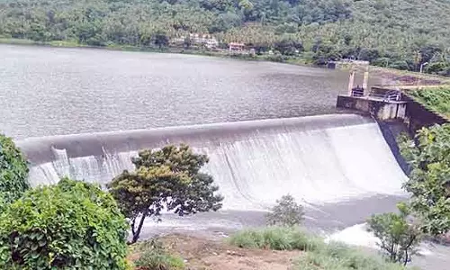 பாபநாசம் அணை நீர்மட்டம் ஒரே நாளில் 5 அடி உயர்ந்தது- சேர்வலாறு அணையில் 8 அடி நீர் அதிகரிப்பு