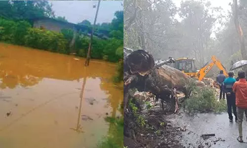 பழங்குடியின கிராமத்தை வெள்ளம் சூழ்ந்தது- மரங்கள் முறிந்து விழுந்து போக்குவரத்து பாதிப்பு