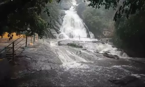 கனமழை: கவியருவியில் கடும் வெள்ளப்பெருக்கு