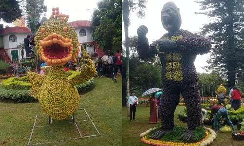குன்னூர் சிம்ஸ் பூங்காவில் பழ கண்காட்சி தொடங்கியது