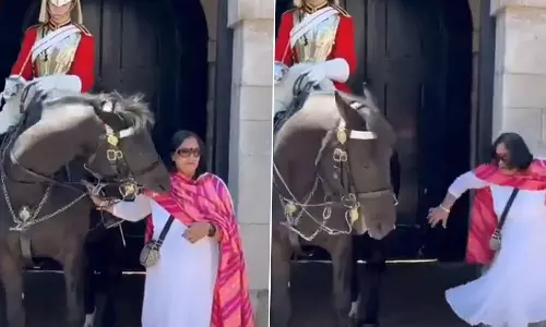 போட்டோ எடுக்கச் சென்று குதிரையிடம் குத்து வாங்கிய பெண்- வீடியோ வைரல்