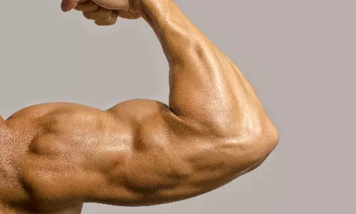 பெரிய பைசப்ஸ்களை பெற எளிமையான உடற்பயிற்சி