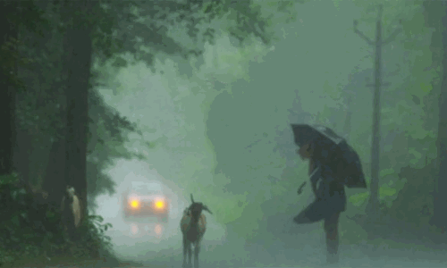 ஆலப்புழா, எர்ணாகுளம், இடுக்கி உள்ளிட்ட 7 மாவட்டங்களுக்கு ஆரஞ்சு அலர்ட்