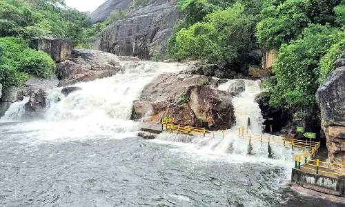 கோடை மழை- நெல்லை, தென்காசி மாவட்டங்களில் அணைகளின் நீர்மட்டம் கிடுகிடு உயர்வு