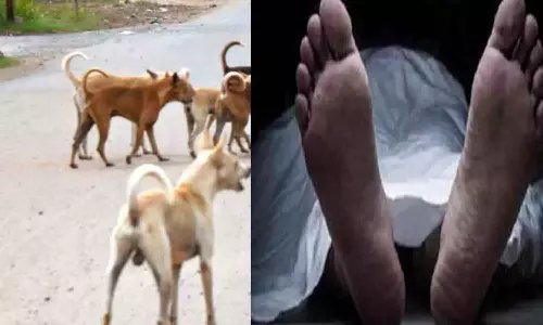 திருப்பூர் அருகே வெறி நாய் கடித்து கட்டிட தொழிலாளி பலி