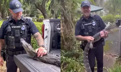 104 வயது மூதாட்டியின் வீட்டிற்குள் புகுந்த முதலை