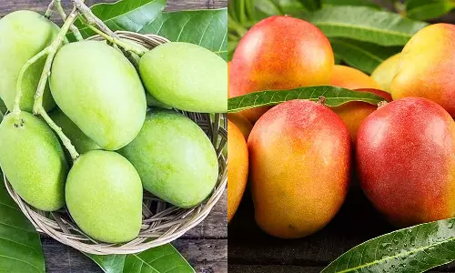 மாம்பழம்... மாங்காய்... எதை சாப்பிடலாம்?