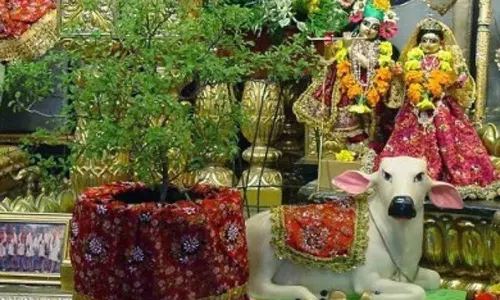 மறுபிறவி அறுக்கும் துளசி