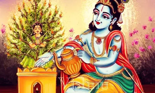 துளசியை வழிபட வேண்டிய காலங்கள்