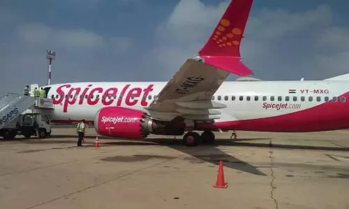 எஞ்சினில் மோதிய பறவைகள்- அவசரமாக டெல்லியில் தரையிறங்கிய விமானம்