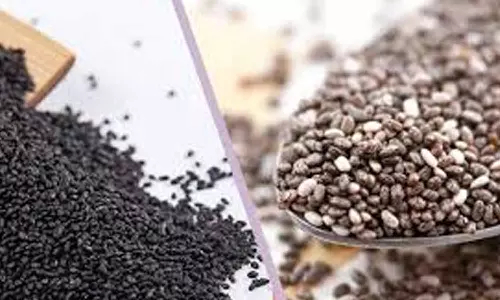 சப்ஜா Vs சியா விதைகள்- எதில் அதிக சத்து?