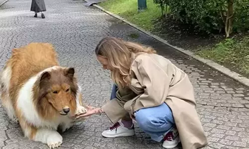 நாயாக மாறிய வாலிபரின் புதிய ஆசை