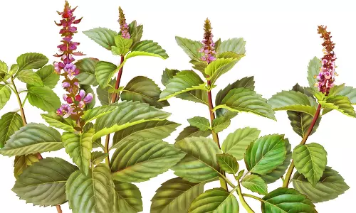 சிறு, சிறு பூச்சிக் கடிகளின் விஷம் நீங்க...