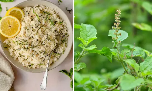 ஆரோக்கிய துளசி சாதம்