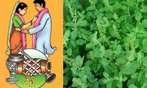 திருமண பரிகார பூஜையும்,  துளசி ஸ்தோத்திர மந்திரமும்...