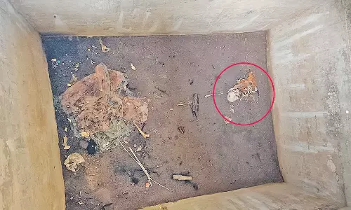 வீட்டின் கழிவறை தொட்டியில் கிடந்த மனித எலும்புக்கூடு- போலீசார் விசாரணை