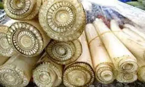 வாழைத்தண்டின் மருத்துவ குணம்