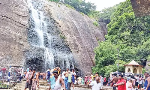 தென்மேற்கு பருவமழை எதிரொலி: தென்காசி மாவட்டத்தில் சூறைக்காற்று வீசுகிறது