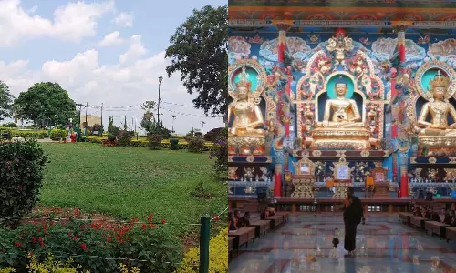 குளுகுளு குடகு மலை!