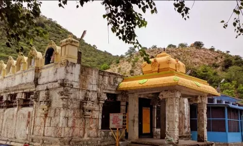 பைரவ வழிபாட்டில் பயன்படுத்தப்படும் காய்கறி பழங்களின் பலன்கள்